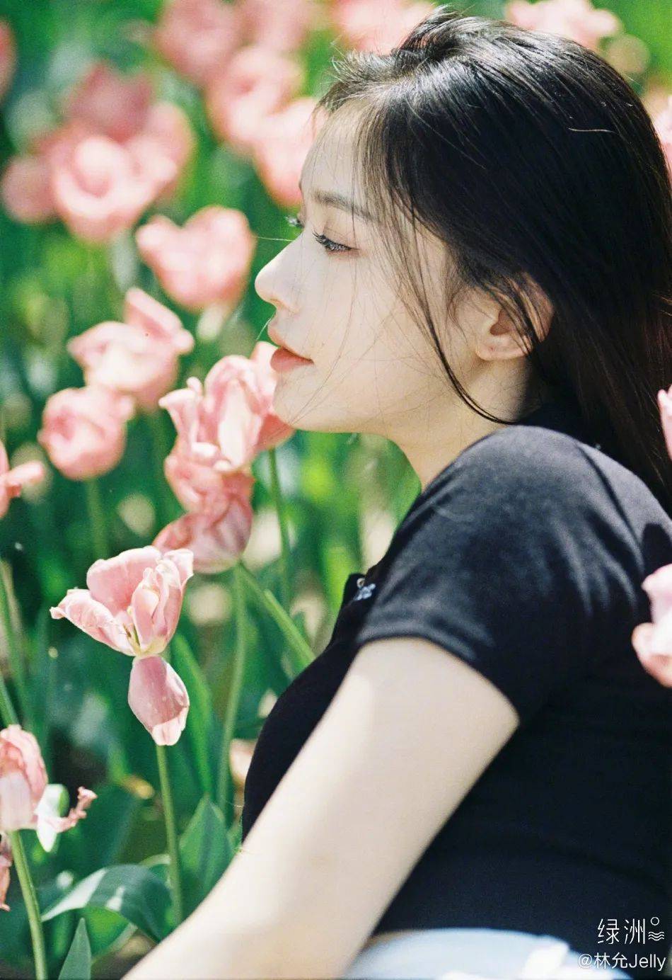 �������Ứ����ͼ�����ޣ������崿��������̫��������